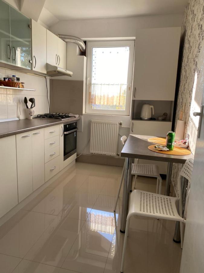 Apartament Raluca - Self Check-In 蒂米什瓦拉 外观 照片